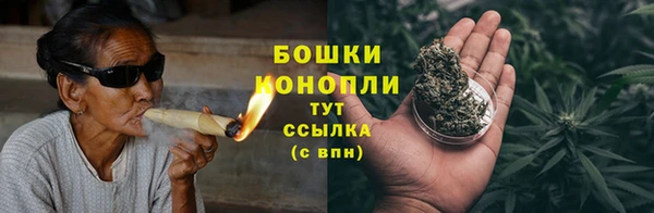 молекула духа Кулебаки